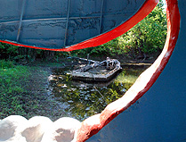 Blue Whale Jaw View  photo