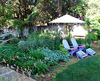Herb Garden Back Yard photo