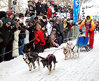 Quebec Winter Dog Sleds race photo