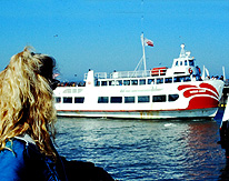 Red & White Cruise Boat photo