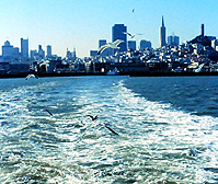 San Francisco Skyline from Bay Harbor Cruise photo
