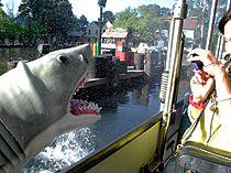 Jaws Attack Universal Studios Tram Tour photo