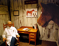 Mr Ed and the Horse Doctor photo