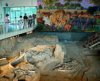 Waco mammoth Site Building Interiro photo