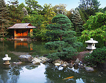 Reflection Pond Japanese Gardens Rockford