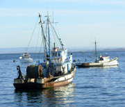 Fishing Boat Monterrey Bay Photo