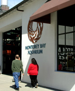 Monterey Bay Aquarium photo