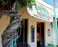 Magnolia Saloon Coultervile photo