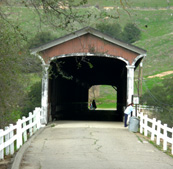 Budget sight covered river bridge photo