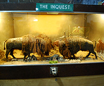 the inquest buffalo machine mechanique photo