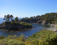 Mendodino coast for whale watching photo