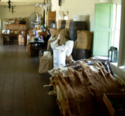 Monterey historic Customs House photo