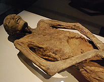 European baron mummy Los Angels photo