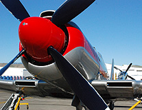 Flight Line at Reno Stead Field photo