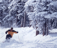 Skiing Taos photo