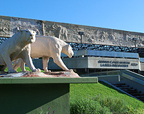 Museum entrance lions photo
