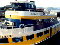 bay cruises at Fisherman's wharf san francisco sight-seeing destination photo