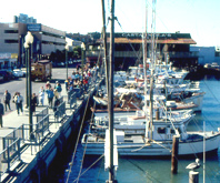 Fishing Tours Fleet of San Francisco bay at Fisherman's Wharf photo